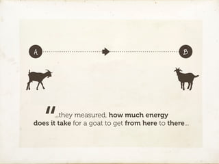 A                                                 B




    “  ...they measured, how much energy
does it take for a goat to get from here to there...
 