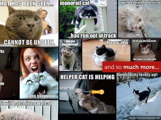 and so
and so much more...




        http://www.icanhascheezburger.com/
 