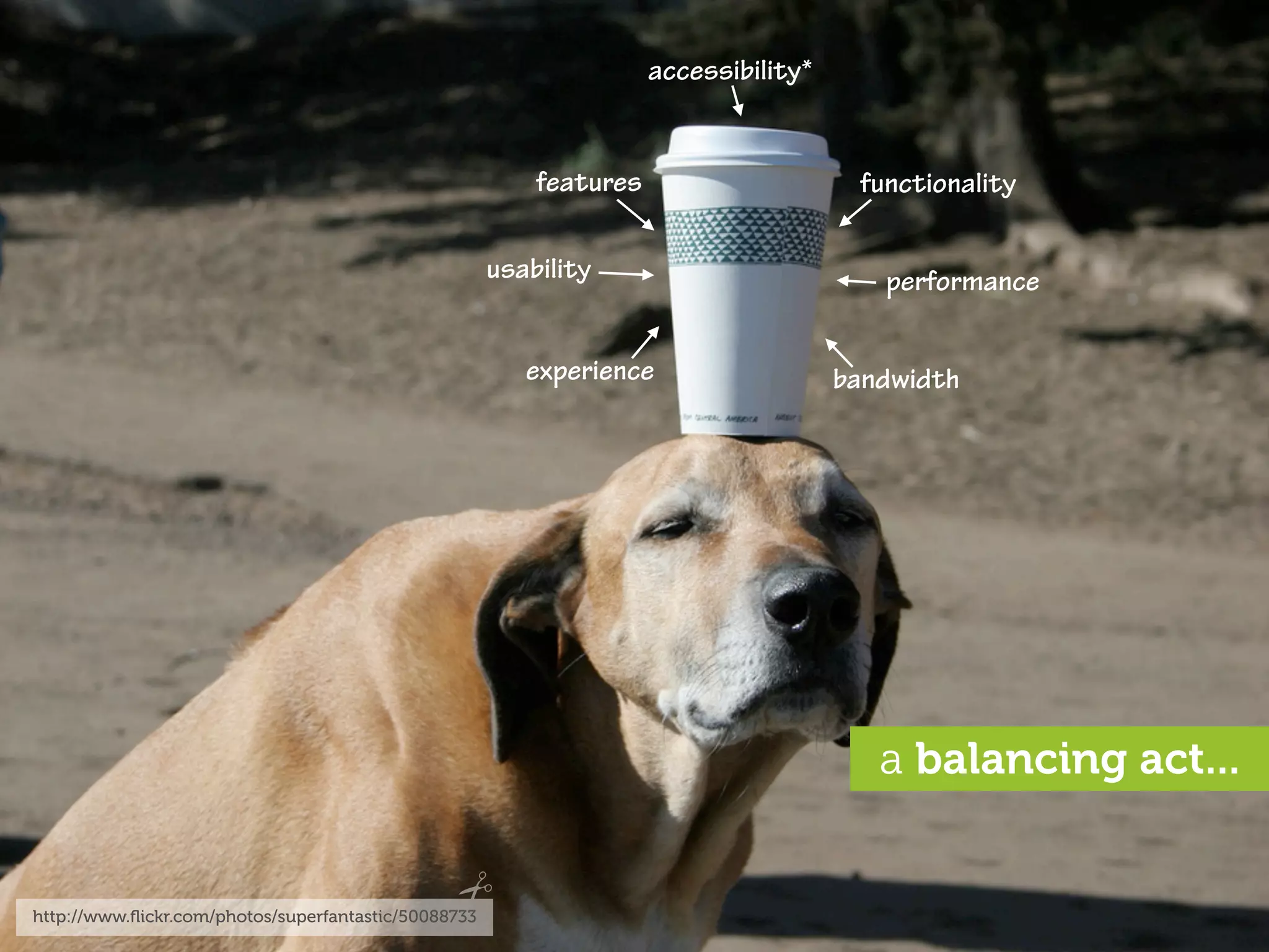 accessibility*


                                                          features                     functionality

                                                      usability                          performance


                                                         experience                   bandwidth




                                                                                         a balancing act...


http://www.ﬂickr.com/photos/superfantastic/50088733
 