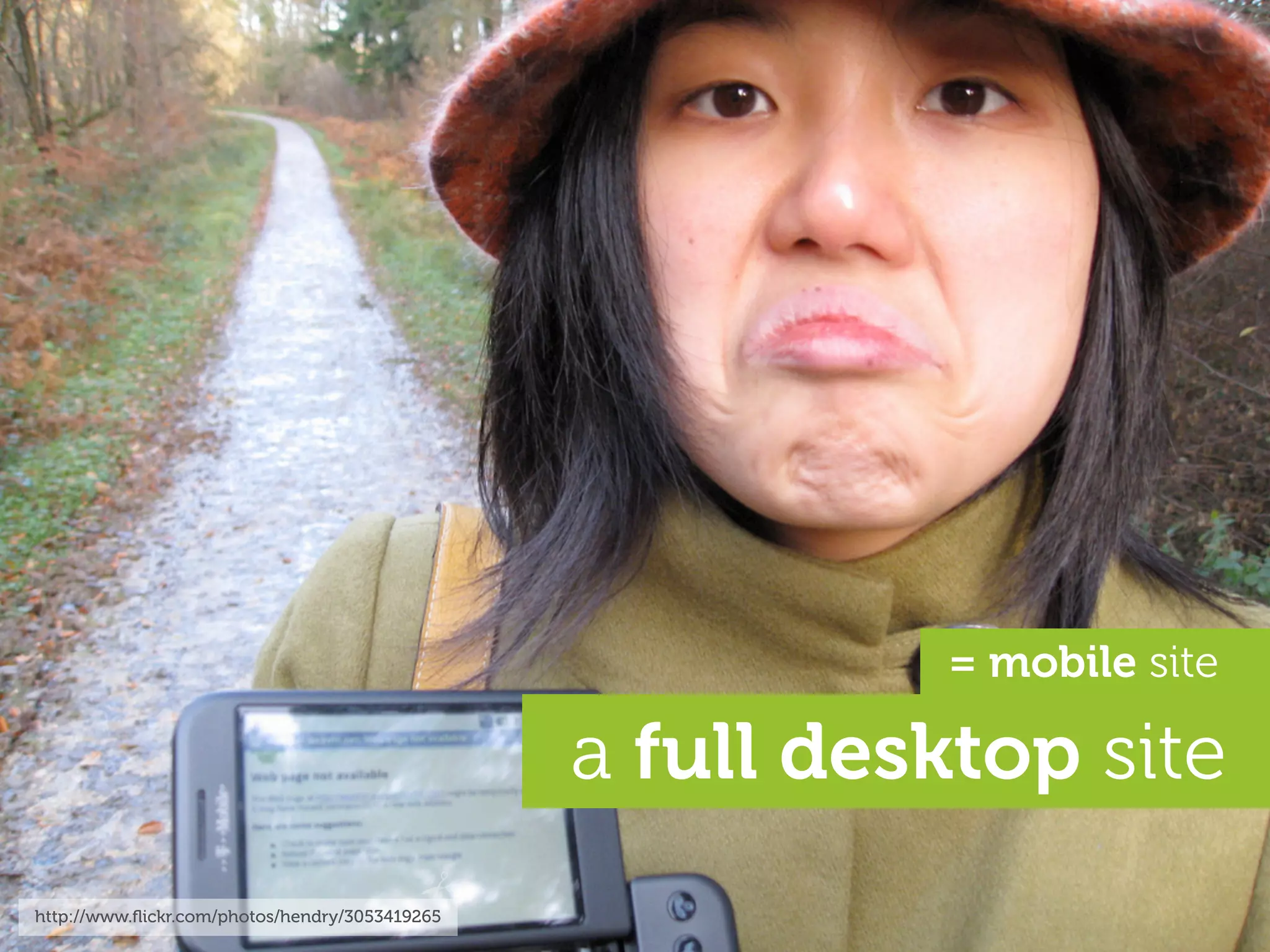 = mobile site

                                                a full desktop site
http://www.ﬂickr.com/photos/hendry/3053419265
 