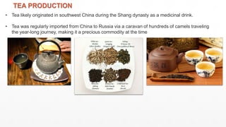 • Tea likely originated in southwest China during the Shang dynasty as a medicinal drink.
• Tea was regularly imported from China to Russia via a caravan of hundreds of camels traveling
the year-long journey, making it a precious commodity at the time
TEA PRODUCTION
 