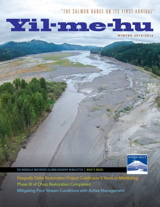 THE NISQUALLY WATERSHED SALMON RECOVERY NEWSLETTER | WHAT’S INSIDE:
W I N T E R 2 0 1 5 / 2 0 1 6
Nisqually Delta Restoration Project Celebrates 5 Years of Monitoring
Phase III of Ohop Restoration Completed
Mitigating Poor Stream Conditions with Active Management
 
