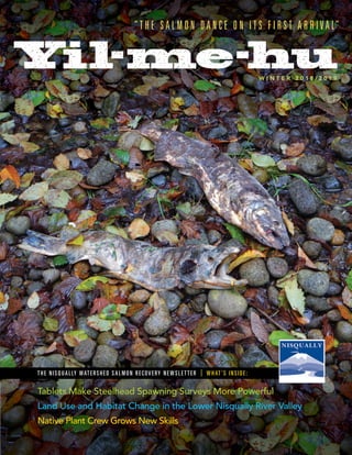 THE NISQUALLY WATERSHED SALMON RECOVERY NEWSLETTER | WHAT’S INSIDE:
W I N T E R 2 0 1 8 / 2 0 1 9
Tablets Make Steelhead Spawning Surveys More Powerful
Land Use and Habitat Change in the Lower Nisqually River Valley
Native Plant Crew Grows New Skills
 