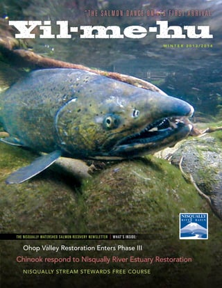WINTER 2013/2014

T H E NIS Q UALLY WATERSHED SALMON REC OVERY NEWS L E TTE R

| W H AT’ S IN S ID E :

Ohop Valley Restoration Enters Phase III

Chinook respond to Nisqually River Estuary Restoration
Nisqually Stream Stewards Free Course

 
