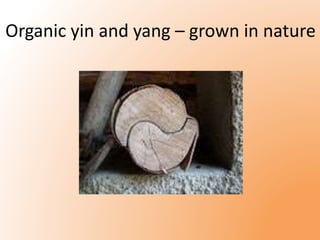 Organic yin and yang – grown in nature 
 