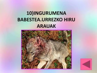 10)INGURUMENA
BABESTEA.URREZKO HIRU
ARAUAK
 