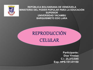 REPÚBLICA BOLIVARIANA DE VENEZUELA
MINISTERIO DEL PODER POPULAR PARA LA EDUCACIÓN
SUPERIOR
UNIVERSIDAD YACAMBU
BARQUISIMETO EDO LARA
Participante:
Diaz Yinetza
C.I. 25.373.645
Exp: HPS-151-01150
 