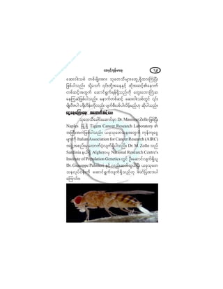 ¿¯åÛÍ·º¸«-»ºå®³¿úå ïîç
¿¯åð¹å±°º ©°º®-¼Õå¬³å ±µ¿©±Ü®-³å¿©ÙËúÍ¼¨³åÓ«Ò§Üå
¶¦°º§¹±²ºñ ±µ¼Ç¿±³º |·ºå©µ¼Ç¬¿»ÛÍ·º¸ ¨µ¼¬¯·º¸Ä¿»³«º
©°º¯·º¸¬©Ù«º ¿¯³·ºúÙ«ºú»ºúÍ¼±²º«µ¼ ¿©Ùå¿©³Þ«Ø¯
¿»Ó«¯Ö¶¦°º§¹±²ºñ ¿»³«º©°º¯·º¸ ¿¯åð¹å±°º©Ù·º |·ºå
®-¼ÕåßÜÆ§¹ §cµ¼¼©¼»ºå«µ¼ª²ºå §-«º°Üå§°º§¹ª¼®º¸®²ºÅµ ¯µ¼§¹±²ºñ
¿·Ù¿úå¿Ó«å¿úå ¬¿¨³«º¬§Ø¸¿§å¿·Ù¿úå¿Ó«å¿úå ¬¿¨³«º¬§Ø¸¿§å¿·Ù¿úå¿Ó«å¿úå ¬¿¨³«º¬§Ø¸¿§å¿·Ù¿úå¿Ó«å¿úå ¬¿¨³«º¬§Ø¸¿§å¿·Ù¿úå¿Ó«å¿úå ¬¿¨³«º¬§Ø¸¿§å
±µ¿©±Ü¿½¹·ºå¿¯³·º®Í³ Ü®ò Ó¿--·³±Æ±´´±¶¦°ºÒ§Üå
Ò¿°´»- Ò®¼ÕËúÍ¼ Ì·¹»³ Ý¿²½»® Î»-»¿®½¸ Ô¿¾±®¿¬±®§ Ä
¬Þ«Üå¬«Ö¶¦°º§¹±²ºñ ô½µ±µ¿©±»¬©Ù«º «µ»º«-¿·Ù
®-³å«µ¼ ×¬¿´·¿²ß--±½·¿¬·±² º±® Ý¿²½»® Î»-»¿®½¸ øß×ÎÝ÷
¬¦ÙÖË¬°²ºå®Í ¿¨³«º§¸Øª-«ºúÍ¼§¹±²ºñ Ü®ò Óò Æ±´´± ±²º
Í¿®¼·²·¿ »ôºúÍ¼ ß´¹¸»®± ®Í Ò¿¬·±²¿´ Î»-»¿®½¸ Ý»²¬®»ù-
×²-¬·¬«¬» ±º Ð±°«´¿¬·±² Ù»²»¬·½- ©Ù·º ÑÜå¿¯³·ºª-«ºúÍ¼±´
Ü®ò Ù·«-»°°» Ð¿´³·»®· ÛÍ·º¸ ª²ºå¯«º±ÙôºÒ§Üå ô½µ±µ¿©
±»ªµ§º·»ºå«µ¼ ¿¯³·ºúÙ«ºª-«ºúÍ¼±²ºÅµ ¿¦³º¶§¨³å§¹
¿Ó«³·ºåñ
 