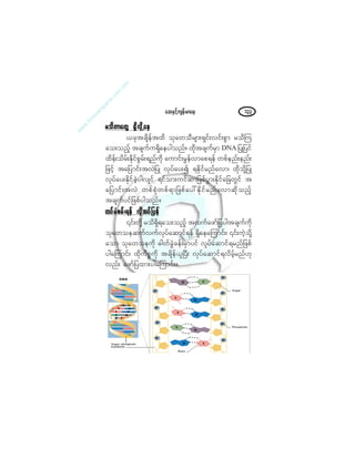 ¿¯åÛÍ·º¸«-»ºå®³¿úå ïíí
®±¼©³¿©Ù úÍ¼ªµ¼Ç¿»®±¼©³¿©Ù úÍ¼ªµ¼Ç¿»®±¼©³¿©Ù úÍ¼ªµ¼Ç¿»®±¼©³¿©Ù úÍ¼ªµ¼Ç¿»®±¼©³¿©Ù úÍ¼ªµ¼Ç¿»
ô½µ¬½-¼»º¬¨¼ ±µ¿©±Ü®-³åúÍ·ºåª·ºå°Ù³ ®±¼Ó«
¿±å±²º¸ ¬½-«º«úÍ¼¿»§¹±²ºñ ¨µ¼¬½-«º®Í³ ÜÒß ¶§Õ¶§·º
¨¼»ºå±¼®ºåÛµ¼·º°Ù®ºåú²º«µ¼ ¿«³·ºå®Ù»ºª³¿°ú»º ©°º»²ºå»²ºå
¶¦·º¸ ¬¿¶§³·ºå¬ªÖ¶§Õ ªµ§º¿§å3 úÛµ¼·º®²º¿ª³á ¨µ¼±µ¼Ç¶§Õ
ªµ§º¿§åÛ¼µ·º½Ö¸§¹ª-·º ú·º±³å«·º¯³¶¦°º§Ù³åÛµ¼·º¿¶½©Ù·º ¬
¿¶§³·ºå¬ªÖ ©°º°Øµ©°ºú³¶¦°º¿§æÛµ¼·º®²º¿ª³¯¼µ±²º¸
¬½-«º§·º¶¦°º§¹±²ºñ
¨§º®Ø°®ºåú»º ªµ¼¬§º¶§»º¨§º®Ø°®ºåú»º ªµ¼¬§º¶§»º¨§º®Ø°®ºåú»º ªµ¼¬§º¶§»º¨§º®Ø°®ºåú»º ªµ¼¬§º¶§»º¨§º®Ø°®ºåú»º ªµ¼¬§º¶§»º
|·ºå©µ¼Ç ®±¼úÍ¼ú¿±å±²º¸ ¬¨«º¿¦³º¶§§¹¬½-«º«µ¼
±µ¿©±»¯«ºª«ºªµ§º¿¯³·ºú»º úÍ¼¿»¿Ó«³·ºåá |·ºå«Ö¸±µ¼Ç
¿±³ ±µ¿©±»«µ¼ þ¹©º½ÙÖ½»ºå®Í³§·º ªµ§º¿¯³·ºú®²º¶¦°º
§¹¿Ó«³·ºå ¨µ¼«¼°*«µ¼ ¬½-¼»ºô´Ò§Üå ªµ§º¿¯³·ºúª¼®º¸®²ºÅµ
ª²ºå ¿¦³º¶§¨³å§¹¿Ó«³·ºåñ
 