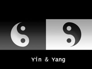 Yin & Yang
 