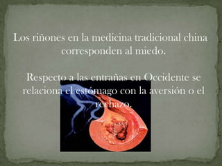 Los riñones en la medicina tradicional china
          corresponden al miedo.

   Respecto a las entrañas en Occidente se
  relaciona el estómago con la aversión o el
                   rechazo.
 