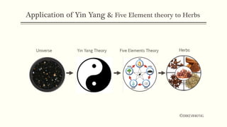 Chinese philosophy and the applications of Yin Yang and the Five ...
