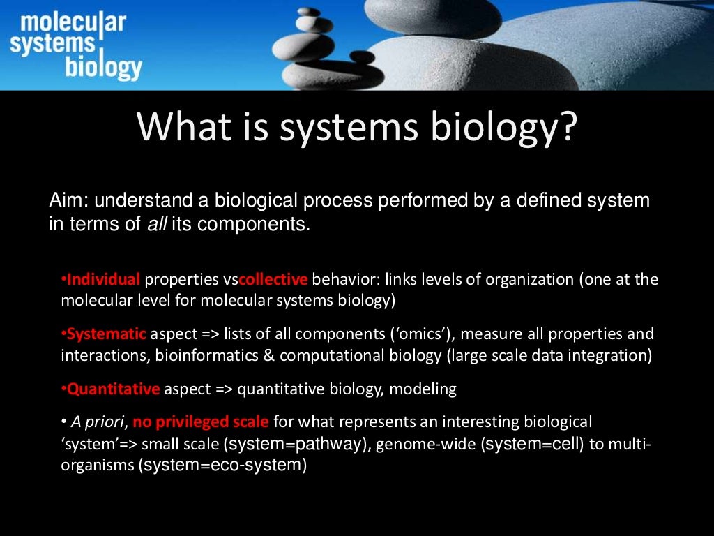 Introduction to systems biology
