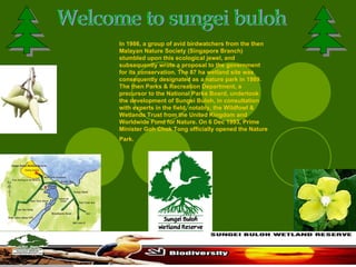 Welcome to sungei buloh In 1986, a group of avid birdwatchers from the then Malayan Nature Society (Singapore Branch) stumbled upon this ecological jewel, and subsequently wrote a proposal to the government for its conservation. The 87 ha wetland site was consequently designated as a nature park in 1989. The then Parks & Recreation Department, a precursor to the National Parks Board, undertook the development of Sungei Buloh, in consultation with experts in the field, notably, the Wildfowl & Wetlands Trust from the United Kingdom and Worldwide Fund for Nature. On 6 Dec 1993, Prime Minister Goh Chok Tong officially opened the Nature Park.   