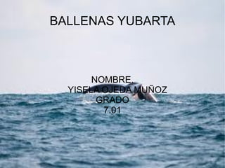 BALLENAS YUBARTA NOMBRE. YISELA OJEDA MUÑOZ GRADO 7.01 
