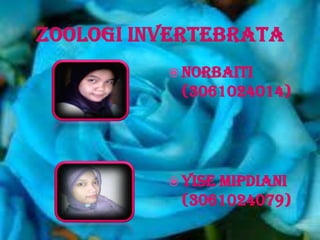  NORBAITI
 (3061024014)




 YISE MIPDIANI
 (3061024079)
 