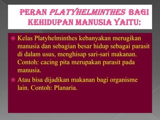  Kelas Platyhelminthes kebanyakan merugikan
  manusia dan sebagian besar hidup sebagai parasit
  di dalam usus, menghisap sari-sari makanan.
  Contoh: cacing pita merupakan parasit pada
  manusia.
 Atau bisa dijadikan makanan bagi organisme
  lain. Contoh: Planaria.
 