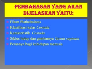  Filum Plathelmintes
 Klasifikasi kelas Costoda
 Karakteristik Costoda
 Siklus hidup dan gambarnya Taenia saginata
 Perannya bagi kehidupan manusia
 