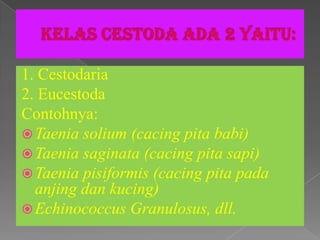 1. Cestodaria
2. Eucestoda
Contohnya:
 Taenia solium (cacing pita babi)
 Taenia saginata (cacing pita sapi)
 Taenia pisiformis (cacing pita pada
  anjing dan kucing)
 Echinococcus Granulosus, dll.
 