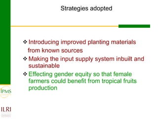 Gender focused service provision and its impact: IPMS Goma experience
