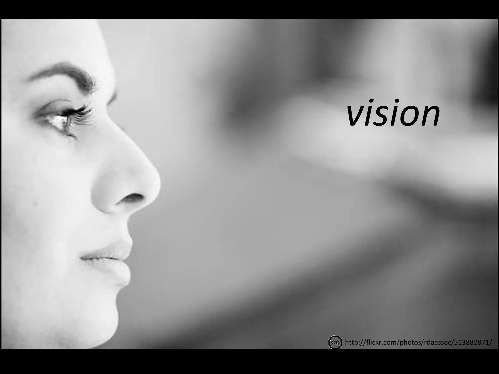 vision 
http://flickr.com/photos/rdaassoc/513882871/ 
 