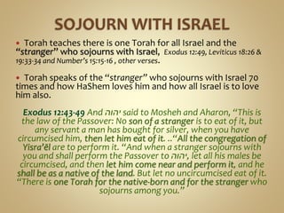  Torah teaches there is one Torah for all Israel and the
“stranger” who sojourns with Israel, Exodus 12:49, Leviticus 18:26 &
19:33-34 and Number’s 15:15-16 , other verses.
 Torah speaks of the “stranger” who sojourns with Israel 70
times and how HaShem loves him and how all Israel is to love
him also.
Exodus 12:43-49 And ‫יהוה‬ said to Mosheh and Aharon, “This is
the law of the Passover: No son of a stranger is to eat of it, but
any servant a man has bought for silver, when you have
circumcised him, then let him eat of it. ..“All the congregation of
Yisra’ĕl are to perform it. “And when a stranger sojourns with
you and shall perform the Passover to ‫,יהוה‬ let all his males be
circumcised, and then let him come near and perform it, and he
shall be as a native of the land. But let no uncircumcised eat of it.
“There is one Torah for the native-born and for the stranger who
sojourns among you.”
 
