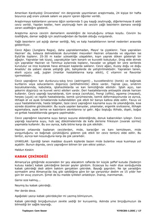 Toplayan: Cem Sezer YIYECEK-1.DOC / 17
Amerikan Kardiyoloji Üniversitesi' nin dergisinde yayımlanan araĢtırmada, 24 kiĢiye bir hafta
boyunca yağ oranı yüksek salam ve peynir içeren öğünler verildi.
AraĢtırmaya katılanların yarısına öğün sonlarında 5 çay kaĢığı zeytinyağı, diğerlerineyse 8 adet
ceviz verildi. Yapılan testler, hem zeytinyağı hem de cevizin yağlı besinlerin damara verdiği
zararı azalttığını gösterdi.
AraĢtırma ayrıca cevizin damarların esnekliğini de koruduğunu ortaya koydu. Cevizin bu
özelliğiyle, damar sağlığı için zeytinyağından da faydalı olduğu vurgulandı.
Yağlı besinlerin yol açtığı damar sertliği, felç ve kalp hastalıklarının temel nedenleri arasında
gösteriliyor.
Ceviz Ağacı (Junglans Regia), daha yapraklanmadan, Mayıs' ta çiçeklenir. Taze yaprakları
Haziran' da, kolayca delinebilecek durumdaki meyveleri Haziran ortasında ve olgunları ise
Eylül'de toplanır. 25-30 m kadar yüksekliğe ulaĢabilen, kıĢın yaprak döken gösteriĢli bir
ağaçtır. Yapraklar tek tüysü, yaprakçıklar tam kenarlı ve kuvvetli kokuludur. Drog elde etmek
için yapraklar Haziran ve Temmuz aylarında toplanır, havadar ve gölgeli bir yere serilerek
kurutulur ve ince kıyılarak hava almayan kaplarda saklanır. Ceviz ağacı, Kuzey doğu ve doğu
Anadolu' da yabani olarak yetiĢtiği gibi, bahçelerde de yetiĢtirilmektedir. Yaprakları tanen,
eterli uçucu yağ, juglan (mantar hastalıklarına karĢı etkili), C vitamini ve flavonlar
içermektedir.
Ceviz yaprağının kan durdurucu-sıkıĢ tırıcı (astringent) , kuvvetlendirici (tonik) ve bağırsak
kurtlarını veya solucanlarını düĢürücü (antihelmintik) etkisi vardır. Yaprak çayı, sindirim
bozukluklarında, kabızlıkta, iĢtahsızlıklarda ve kan temizliğinde etkilidir. ĠĢtah açıcı, kan
Ģekerini düĢürücü ve kuvvet verici etkileri vardır. Deri hastalıklarında antiseptik olarak haricen
kullanılır. Ceviz yaprağı kaynatılarak, tüm sıraca (scrofula), frengi (sifilis), egzema (mayasıl),
herpes (uçuk) ve raĢitik hastalıklarda, kemik çürümesinde, kemik deformasyonunda ve ayrıca,
iltihaplı el ve ayak tırnaklarında kullanılabilen çok etkili bir banyo katkısı elde edilir. Favus ve
uyuz hastalıklarında, hasta bölgeler, taze ceviz yaprağının kaynama suyu ile yıkandığında, kısa
sürede düzelme görülecektir. Bu suyla yapılan banyolar, yıkamalar, ergenlik sivilcesine, iltihaplı
egzemalara, ayak terine ve kadınların akıntılarına iyi gelir. Ağız boĢluğu iltihabı, diĢeti, boğaz
ve gırtlak hastalıklarında gargara yapılmalıdır.
Ceviz yaprağının kaynama suyu banyo suyuna eklendiğinde, donuk kabarcıkları iyileĢir. Ceviz
yaprağı kaynama suyu, hızlı saç dökülmelerinde de kafa derisine friksiyon (ovarak sürme)
yapmakla kullanılır. Bu sıvı ayrıca, kafa bitine karĢı da çok etkilidir.
Haziran ortasında toplanan cevizlerden, mide, karaciğer ve kanı temizleyen, mide
yorgunluğunu ve bağırsak çürüklüğünü gideren çok etkili bir ceviz tentürü elde edilir. Bu
tentür, ayrıca kan koyuluğuna karĢı da çok yararlıdır.
UYARILAR: Ġçerdiği tanen maddesi duyarlı kiĢilerde bazen mide bulantısı veya kusmaya yol
açabilir. Bunun dıĢında, ceviz yaprağının bilinen bir yan etkisi yoktur.
Haldun Keskin
KABAK ÇEKĠRDEĞĠ
Almanya'ya gittiğimde eczaneden bir Ģey alacaktım raflarda bir küçük Ģeffaf kutuda (Sederjin
kutusu kadar) kabak çekirdeğine benzer Ģeyler gördüm. Eczacıya bu nedir diye sorduğumda
kabak çekirdeği dedi aldım baktım gerçekten çekirdek. Bayağı ĢaĢırdım. Ne iĢe yaradığını
sormadım ama Almanya‟da ilaç gibi satıldığına göre bir iĢe yarıyordur dedim ve 15 yıldır her
gün bir avuç yiyorum. ġimdi de bu mailde iyilikleri anlatılıyor. Ġnanıp, inanmamak.
Gerisi size kalmıĢ...
NeymiĢ bu kabak çekirdeği.
Her derde deva.
AĢağıdaki yazıyı kabak çekirdekçiler mi yazmıĢ bilmiyorum.
Kabak çekirdeği birçoğumuzun zevkle yediği bir kuruyemiĢ. Aslında yine birçoğumuzun da
bilmediği bir sağlık kaynağı.
 