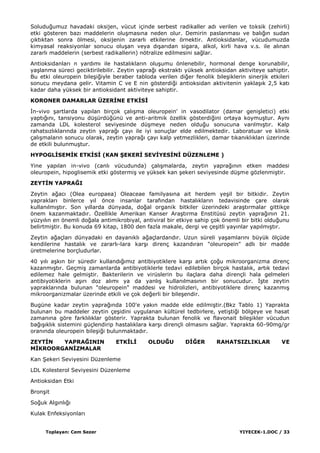 Toplayan: Cem Sezer YIYECEK-1.DOC / 33
Soluduğumuz havadaki oksijen, vücut içinde serbest radikaller adı verilen ve toksik (zehirli)
etki gösteren bazı maddelerin oluĢmasına neden olur. Demirin paslanması ve balığın sudan
çıktıktan sonra ölmesi, oksijenin zararlı etkilerine örnektir. Antioksidanlar, vücudumuzda
kimyasal reaksiyonlar sonucu oluĢan veya dıĢarıdan sigara, alkol, kirli hava v.s. ile alınan
zararlı maddelerin (serbest radikallerin) nötralize edilmesini sağlar.
Antioksidanları n yardımı ile hastalıkların oluĢumu önlenebilir, hormonal denge korunabilir,
yaĢlanma süreci geciktirilebilir. Zeytin yaprağı ekstraktı yüksek antioksidan aktiviteye sahiptir.
Bu etki oleuropein bileĢiğiyle beraber tabloda verilen diğer fenolik bileĢiklerin sinerjik etkileri
sonucu meydana gelir. Vitamin C ve E nin gösterdiği antioksidan aktivitenin yaklaĢık 2,5 katı
kadar daha yüksek bir antioksidant aktiviteye sahiptir.
KORONER DAMARLAR ÜZERĠNE ETKĠSĠ
Ġn-vivo Ģartlarda yapılan birçok çalıĢma oleuropein' in vasodilator (damar geniĢletici) etki
yaptığını, tansiyonu düĢürdüğünü ve anti-aritmik özellik gösterdiğini ortaya koymuĢtur. Aynı
zamanda LDL kolesterol seviyesinde düĢmeye neden olduğu sonucuna varılmıĢtır. Kalp
rahatsızlıklarında zeytin yaprağı çayı ile iyi sonuçlar elde edilmektedir. Laboratuar ve klinik
çalıĢmaların sonucu olarak, zeytin yaprağı çayı kalp yetmezlikleri, damar tıkanıklıkları üzerinde
de etkili bulunmuĢtur.
HYPOGLĠSEMĠK ETKĠSĠ (KAN ġEKERĠ SEVĠYESĠNĠ DÜZENLEME )
Yine yapılan in-vivo (canlı vücudunda) çalıĢmalarda, zeytin yaprağının etken maddesi
oleuropein, hipoglisemik etki göstermiĢ ve yüksek kan Ģekeri seviyesinde düĢme gözlenmiĢtir.
ZEYTĠN YAPRAĞI
Zeytin ağacı (Olea europaea) Oleaceae familyasına ait herdem yeĢil bir bitkidir. Zeytin
yaprakları binlerce yıl önce insanlar tarafından hastalıkların tedavisinde çare olarak
kullanılmıĢtır. Son yıllarda dünyada, doğal organik bitkiler üzerindeki araĢtırmalar gittikçe
önem kazanmaktadır. Özellikle Amerikan Kanser AraĢtırma Enstitüsü zeytin yaprağının 21.
yüzyılın en önemli doğala antimikrobiyal, antiviral bir etkiye sahip çok önemli bir bitki olduğunu
belirtmiĢtir. Bu konuda 69 kitap, 1800 den fazla makale, dergi ve çeĢitli yayınlar yapılmıĢtır.
Zeytin ağaçları dünyadaki en dayanıklı ağaçlardandır. Uzun süreli yaĢamlarını büyük ölçüde
kendilerine hastalık ve zararlı-lara karĢı direnç kazandıran "oleuropein" adlı bir madde
üretmelerine borçludurlar.
40 yılı aĢkın bir süredir kullandığımız antibiyotiklere karĢı artık çoğu mikroorganizma direnç
kazanmıĢtır. GeçmiĢ zamanlarda antibiyotiklerle tedavi edilebilen birçok hastalık, artık tedavi
edilemez hale gelmiĢtir. Bakterilerin ve virüslerin bu ilaçlara daha dirençli hala gelmeleri
antibiyotiklerin aĢırı doz alımı ya da yanlıĢ kullanılmasının bir sonucudur. ĠĢte zeytin
yapraklarında bulunan "oleuropein" maddesi ve hidrolizleri, antibiyotiklere direnç kazanmıĢ
mikroorganizmalar üzerinde etkili ve çok değerli bir bileĢendir.
Bugüne kadar zeytin yaprağında 100'e yakın madde elde edilmiĢtir.(Bkz Tablo 1) Yaprakta
bulunan bu maddeler zeytin çeĢidini uygulanan kültürel tedbirlere, yetiĢtiği bölgeye ve hasat
zamanına göre farklılıklar gösterir. Yaprakta bulunan fenolik ve flavonait bileĢikler vücudun
bağıĢıklık sistemini güçlendirip hastalıklara karĢı dirençli olmasını sağlar. Yaprakta 60-90mg/gr
oranında oleuropein bileĢiği bulunmaktadır.
ZEYTĠN YAPRAĞININ ETKĠLĠ OLDUĞU DĠĞER RAHATSIZLIKLAR VE
MĠKROORGANĠZMALAR
Kan ġekeri Seviyesini Düzenleme
LDL Kolesterol Seviyesini Düzenleme
Antioksidan Etki
BronĢit
Soğuk Algınlığı
Kulak Enfeksiyonları
 