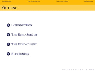How to Make an Echo Server | PDF