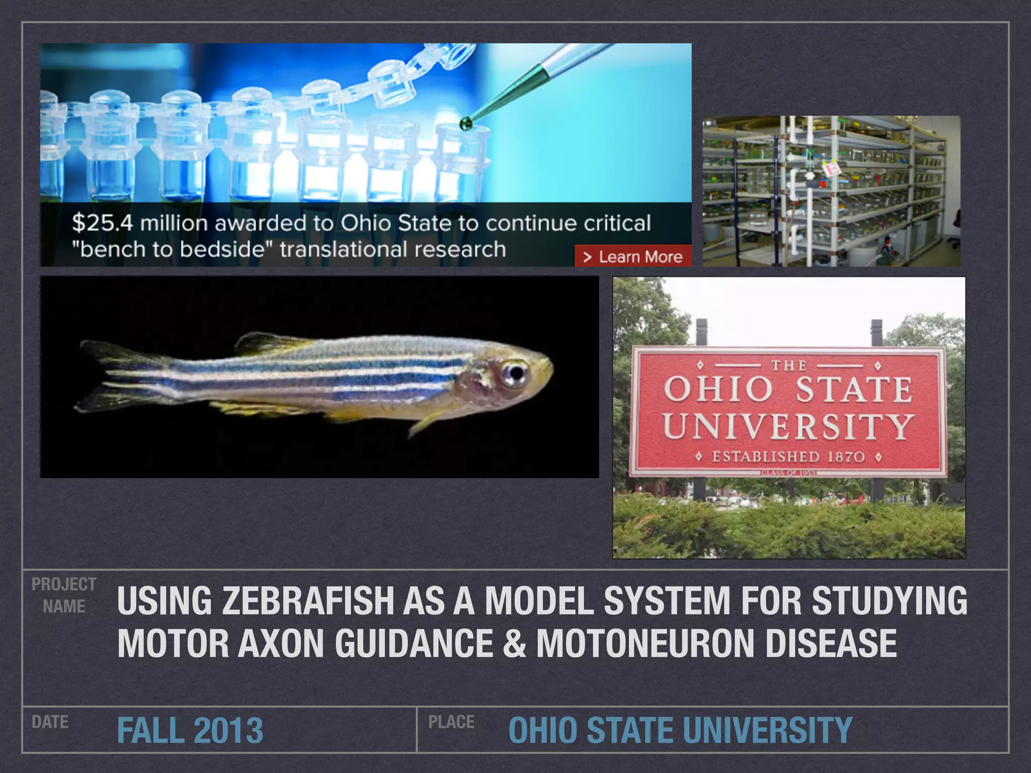 OHIO STATE UNIVERSITY
PROJECT
NAME
DATE PLACE
FALL 2013
USING ZEBRAFISH AS A MODEL SYSTEM FOR STUDYING
MOTOR AXON GUIDANCE & MOTONEURON DISEASE
 