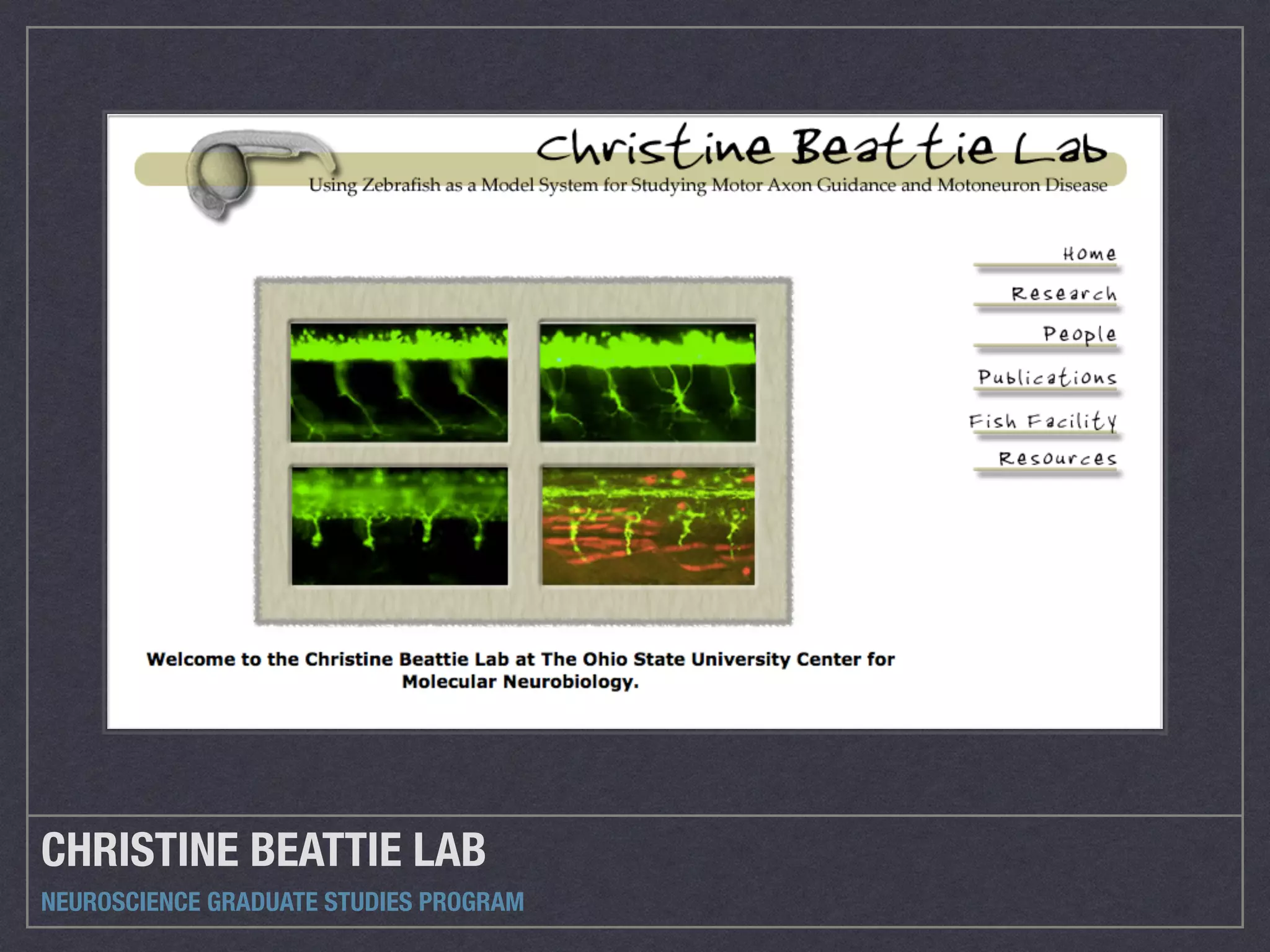 CHRISTINE BEATTIE LAB
NEUROSCIENCE GRADUATE STUDIES PROGRAM
 