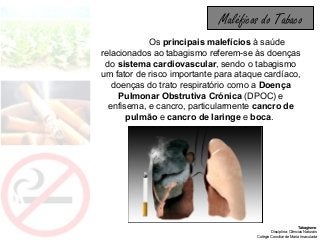 Tabagismo
Disciplina: Ciências Naturais
Colégio Conciliar de Maria Imaculada
Maléficos do Tabaco
Os principais malefícios à saúde
relacionados ao tabagismo referem-se às doenças
do sistema cardiovascular, sendo o tabagismo
um fator de risco importante para ataque cardíaco,
doenças do trato respiratório como a Doença
Pulmonar Obstrutiva Crónica (DPOC) e
enfisema, e cancro, particularmente cancro de
pulmão e cancro de laringe e boca.
 