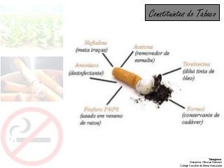 Tabagismo
Disciplina: Ciências Naturais
Colégio Conciliar de Maria Imaculada
Constituintes do Tabaco
 