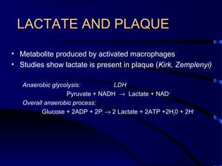 15
LACTATE AND PLAQUE
• Metabolite produced by activated macrophages
• Studies show lactate is present in plaque (Kirk, Zemplenyi)
Anaerobic glycolysis: LDH
Pyruvate + NADH → Lactate + NAD+
Overall anaerobic process:
Glucose + 2ADP + 2Pi → 2 Lactate + 2ATP +2H20 + 2H+
 
