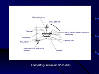 31
Heating pad
Balance
Fiber optic probe
Gas line
Micro pH and reference junction
electrodes
Thermistor
37°C, >85% RH
Spectralon 50% reflectance
standard
Tissue bath
Laboratory setup for all studies.
 