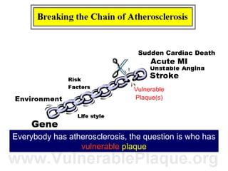 4
Everybody has atherosclerosis, the question is who has
vulnerable plaque
Sudden Cardiac Death
Acute MI
Vulnerable
Plaque(s)
 