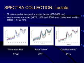 41
SPECTRA COLLECTION: Lactate
• 82 raw absorbance spectra shown below (667-2400 nm)
• Key features are water (~970, 1450 and 2000 nm), cholesterol and its
esters (~1750 nm).
“Thrombus/Red”
n=22
“Fatty/Yellow”
n=41
“Calcified/White”
n=19
 