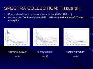 42
SPECTRA COLLECTION: Tissue pH
• 48 raw absorbance spectra shown below (400-1100 nm)
• Key features are hemoglobin (550 – 575 nm) and water (~970 nm)
absorption
400 500 600 700 800 900 1000
0
0.1
0.2
0.3
0.4
0.5
0.6
0.7
0.8
0.9
1
wavelength (nm)
Absorbance(arbitraryunits)
400 500 600 700 800 900 1000
0
0.5
1
1.5
2
2.5
3
wavelength (nm)
Absorbance(arbitraryunits)
400 500 600 700 800 900 1000
0
0.2
0.4
0.6
0.8
1
1.2
1.4
1.6
1.8
2
wavelength (nm)
Absorbance(arbitraryunits)
“Thrombus/Red”
n=11
“Fatty/Yellow”
n=23
“Calcified/White”
n=14
 