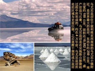 乌尤尼盐沼位于玻利维亚西南部的乌尤尼小镇附近，是世界最大的盐沼，东西长约 250 公里，南北宽约 100 公里，面积达 10,582 平方公里，盛产岩盐与石膏。乌尤尼盐沼是在安地斯山脉隆起过程中所形成的。约在 4 万年前，乌尤尼盐沼所处的区域为史前巨湖，之后逐渐干涸形成大盐沼 。  