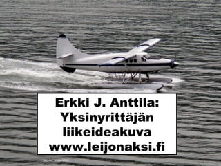Erkki J. Anttila:
Yksinyrittäjän
liikeideakuva
www.leijonaksi.fi
Sxc.hu_linder6580
 