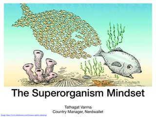The Superorganism Mindset
Tathagat Varma

Country Manager, Nerdwallet
Image: https://www.afterburner.com/business-agility-planning/
 