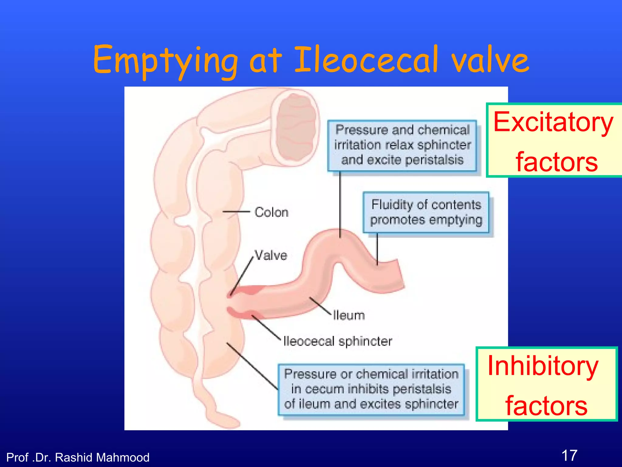 17Prof .Dr. Rashid Mahmood
Emptying at Ileocecal valve
Excitatory
factors
Inhibitory
factors
 