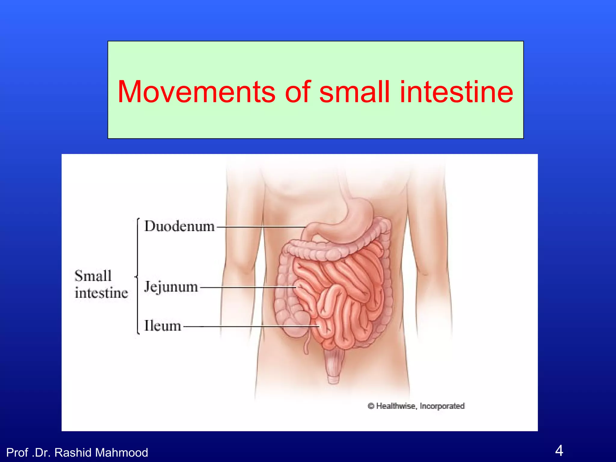 4Prof .Dr. Rashid Mahmood
Movements of small intestine
 