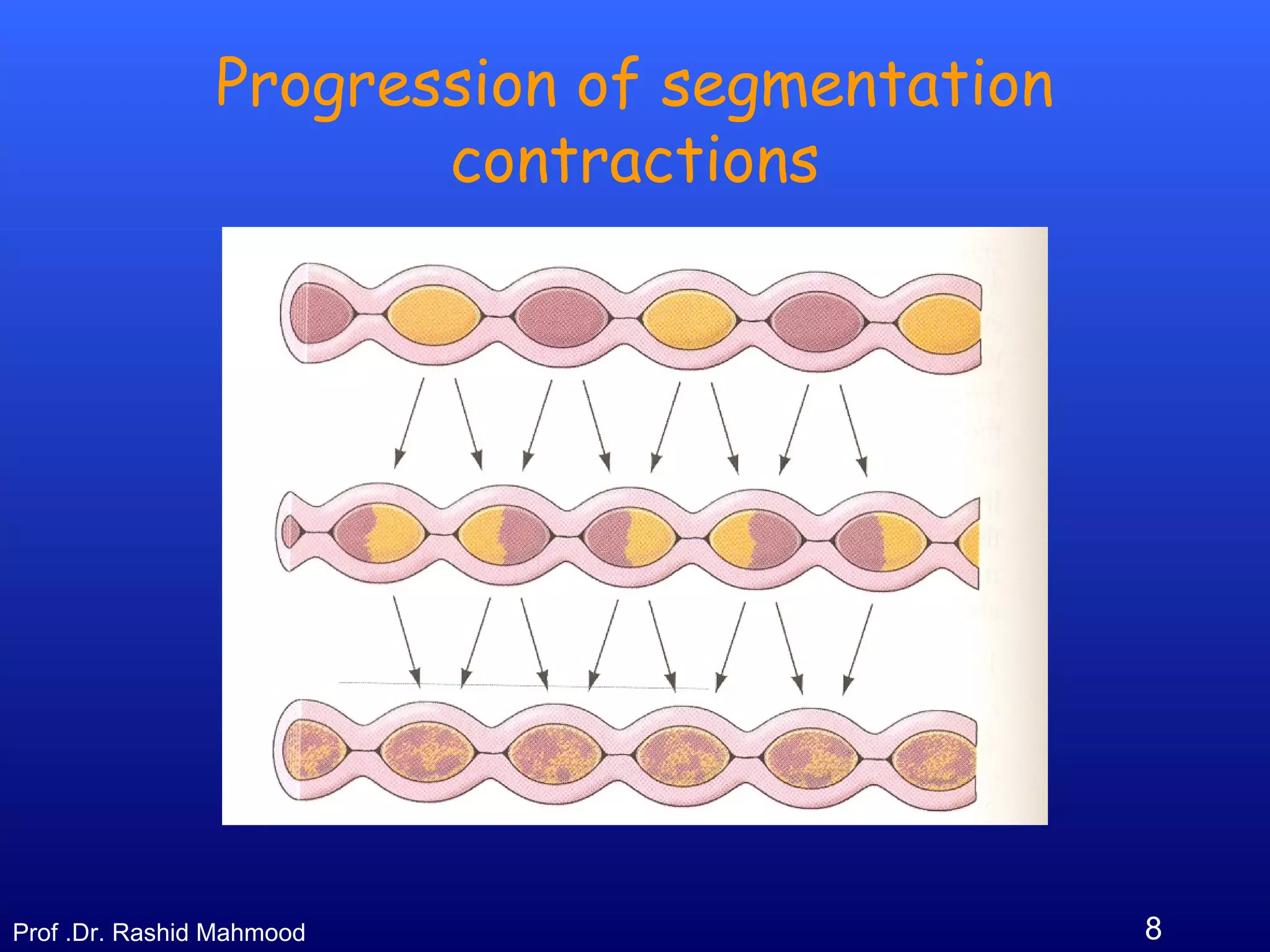 8Prof .Dr. Rashid Mahmood
Progression of segmentation
contractions
 