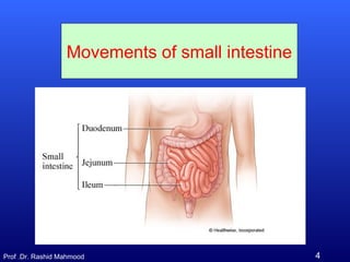 Movements of small and large intestine | PPT