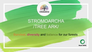 STROMOARCHA
/TREE ARK/
◦ Survival, diversity and balance for our forests
 