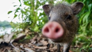 Young Lions CZ 2021 | Marketers 01