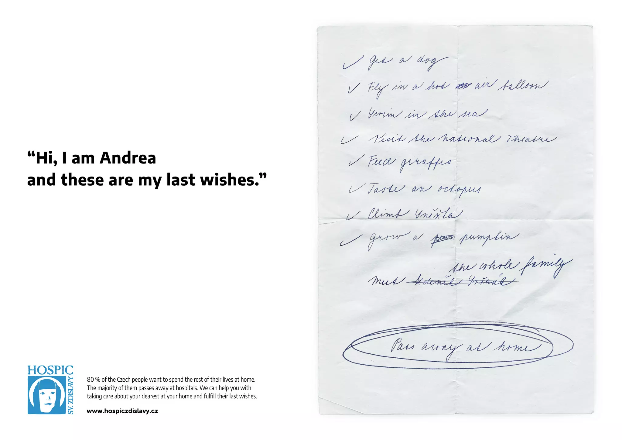 Young Lions CZ 2023 | PRINT 01