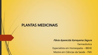 PLANTAS MEDICINAIS
Flávia Aparecida Kameyama Segura
Farmacêutica
Especialista em Homeopatia – IBEHE
Mestre em Ciências da Saúde - FMJ
 