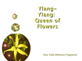 Ylang-Ylang:  Queen of Flowers Your Total Wellness Fragrance 